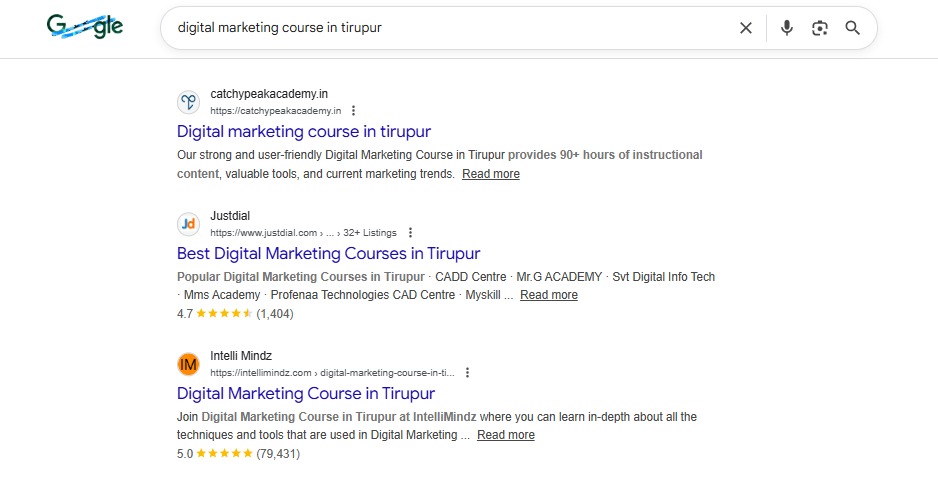 Seo Company In India